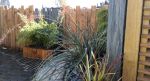 paysagiste Vannes jardin bois schiste