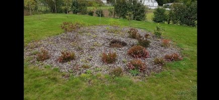 Massif existant avant les travaux Massif existant avant les travaux