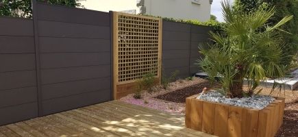 Chamaerops humilis dans jardinière Chamaerops humilis dans jardinière