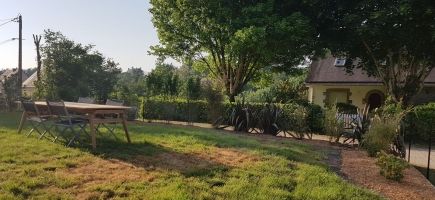 Haie végétale persistante Haie végétale persistante