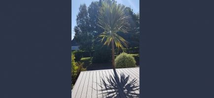 Terrasse bois composite 56-Vannes Terrasse bois composite 56-Vannes