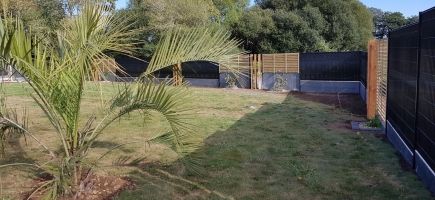 Palmier et Clôture bois-minéral-métal-56-Morbihan Palmier et Clôture bois-minéral-métal-56-Morbihan