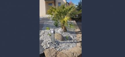 Palmier-56-Vannes Palmier-56-Vannes