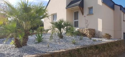 Palmiers-56-Morbihan Palmiers-56-Morbihan