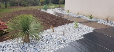 Yucca et galets Yucca et galets