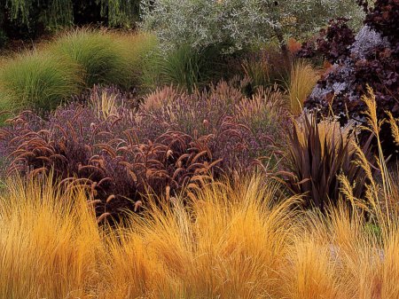 Massif végétal Arradon