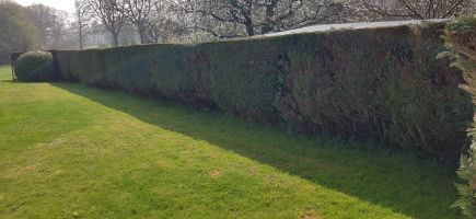 Avant travaux Avant travaux