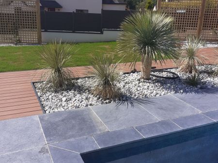 Piscine Guenin plantes exotiques Piscine Guenin plantes exotiques