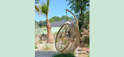 Palmier paysagiste Vannes Grand-Champ Auray Palmier paysagiste Vannes Grand-Champ Auray