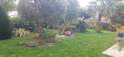 jardin avant intervention jardin avant intervention