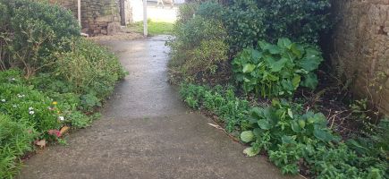 Béton allée avant travaux Béton allée avant travaux