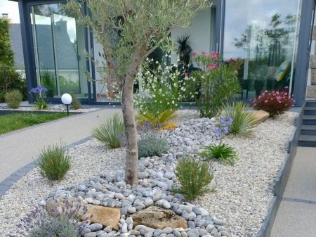 Massif exotique galets et gravillons olivier palmier 56 Morbihan Vannes Massif exotique galets et gravillons olivier palmier 56 Morbihan Vannes