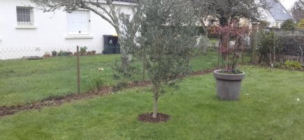 Le jardin cloturé, sans palissade Le jardin cloturé, sans palissade