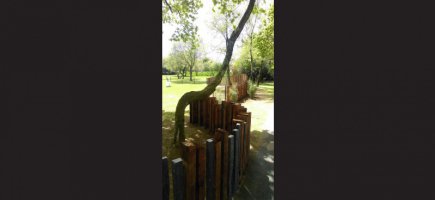 Adaptation à l'environnement Adaptation à l'environnement