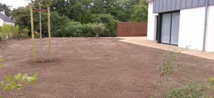 Haie variée avec Albizia en isolé et engazonnement du terrain Haie variée avec Albizia en isolé et engazonnement du terrain