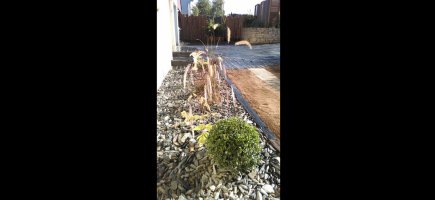 paillage schiste SENE paillage schiste SENE