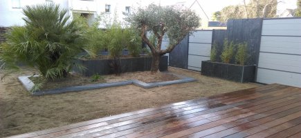 Olivier et Chamaerops dans une jardinière en ardoise Olivier et Chamaerops dans une jardinière en ardoise