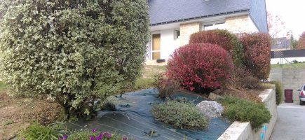 Jardin à COLPO Jardin à COLPO