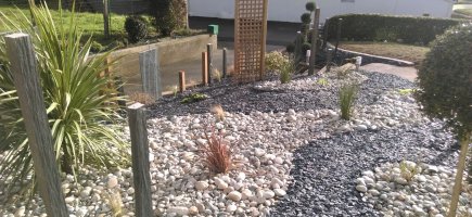treille avec clématite treille avec clématite