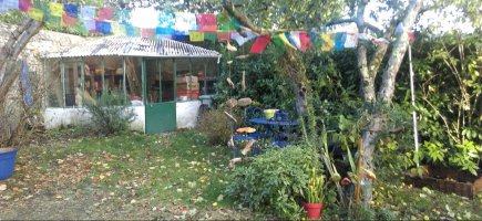 espace à revégétaliser espace à revégétaliser