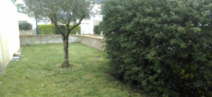 avant travaux: présence de gazon avant travaux: présence de gazon