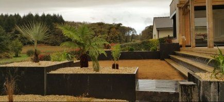 Fougères arborescentes et palmier dans jardinières